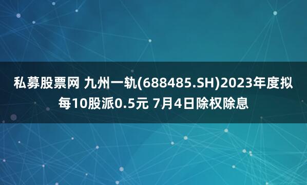 私募股票网 九州一轨(688485.SH)2023年度拟每10股派0.5元 7月4日除权除息