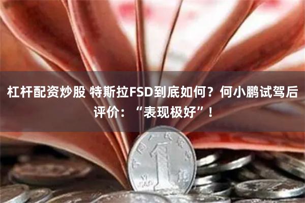 杠杆配资炒股 特斯拉FSD到底如何？何小鹏试驾后评价：“表现极好”！